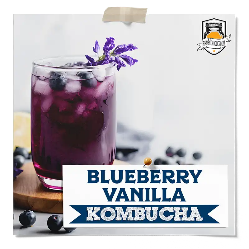 blueberry vanilla kombucha