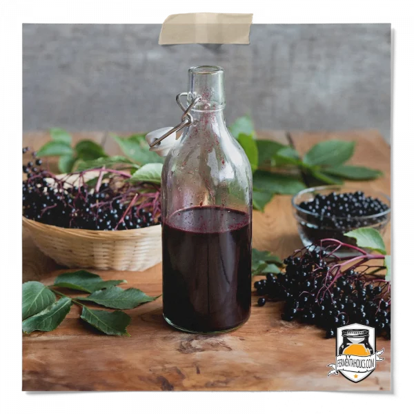 Elderberry Syrup Kombucha
