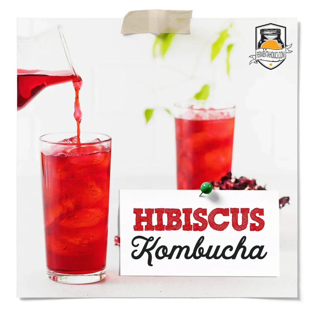 hibiscus kombucha