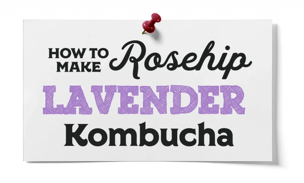 how to make rosehip lavender kombucha