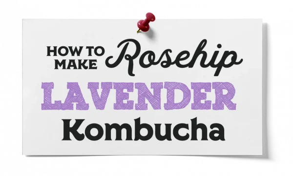 How To Make Rosehip Lavender Kombucha