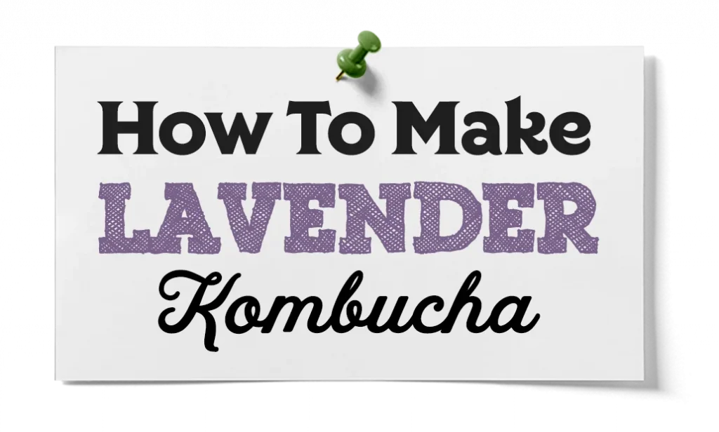 how to make lavender kombucha