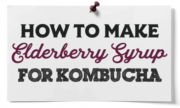 How To Make Elderberry Syrup For Kombucha