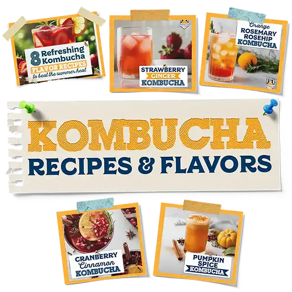 Kombucha Flavors And Recipes