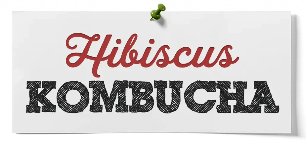 how to make hibiscus kombucha