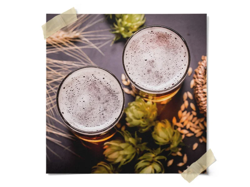 Beer Refractometer