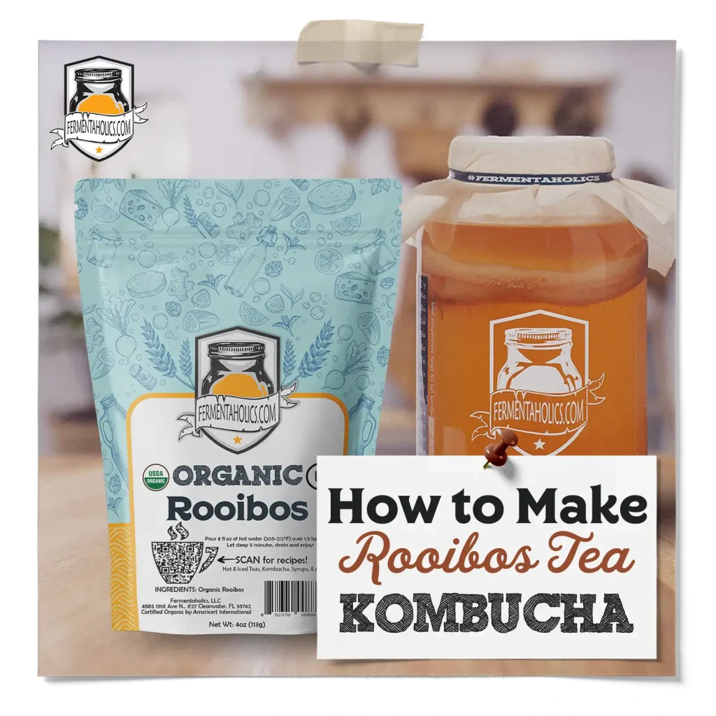 How to Make Rooibos Tea Kombucha