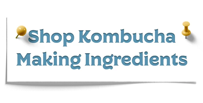 Shop Kombucha Making Ingredients Mobile