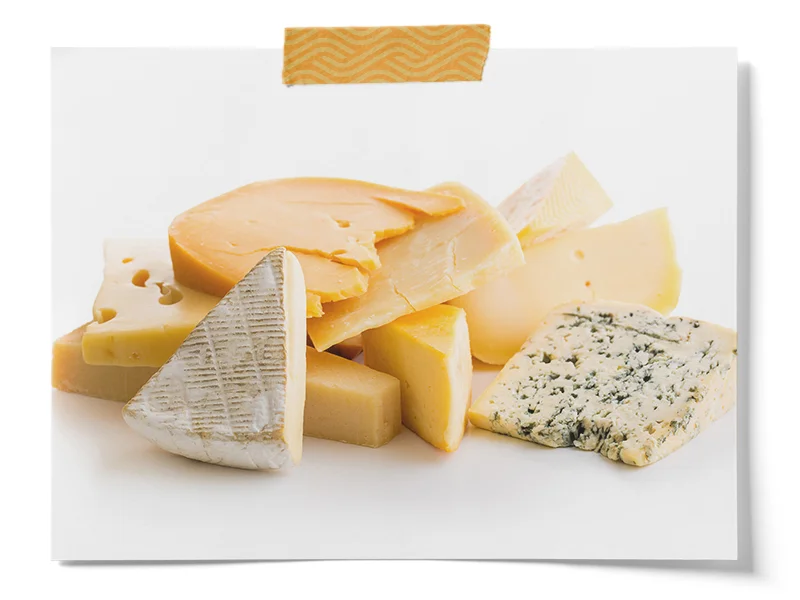 Cheese Coloring