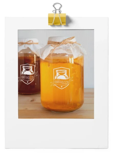 Kombucha Making