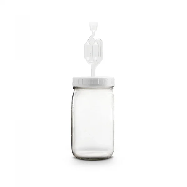 Mason Jar Fermentation Lid
