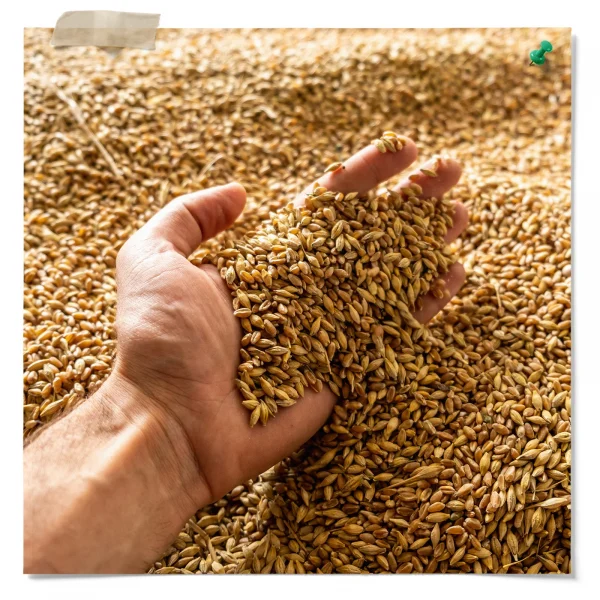 Briess 2 Row Malt