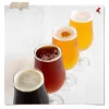 Falconer'S Flight Hops