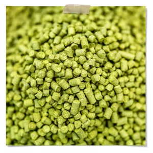 Amarillo Dry Hop