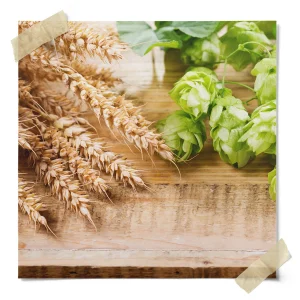 Centennial Hop Pellets