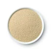 Wlp051 Yeast