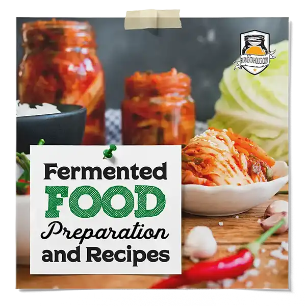 Fermented Foods Preparation And Recipes