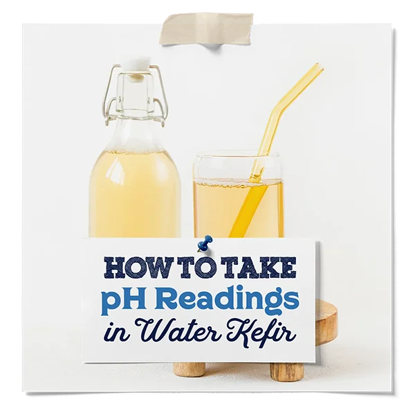 How To Take Ph Readings In Water Kefir