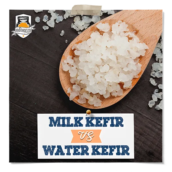 Milk Kefir Vs Water Kefir