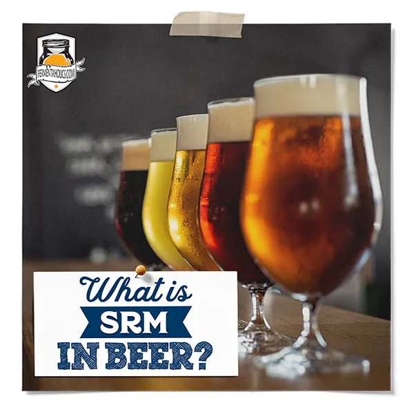 What is SRM in Beer