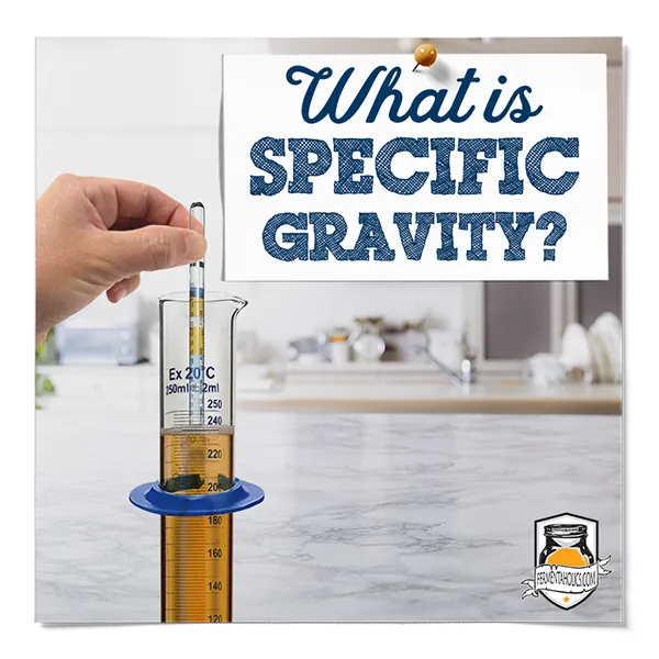 What Is Specific Gravity