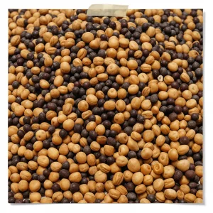Mixed Mustard Seeds